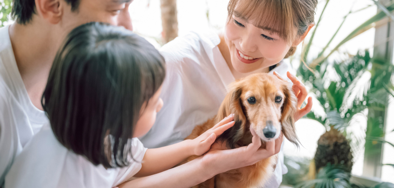 子どもから大人まで幅広い方が対象です。