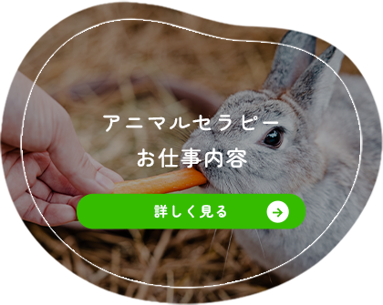 アニマルセラピーお仕事内容