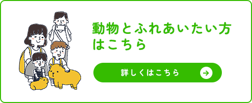動物とふれあいたい方 はこちら